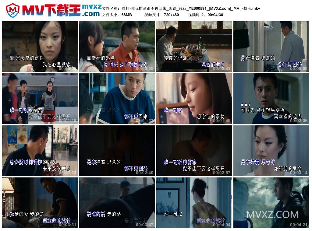 潘虹-你我的爱都不再回来_国语_流行_YE600591